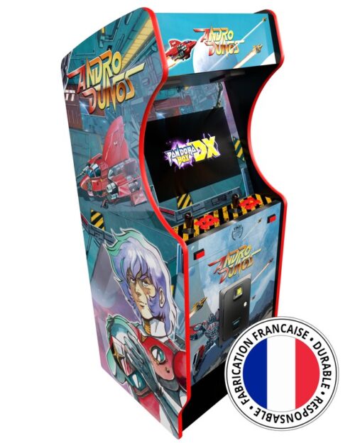 smec-jeux-borne-arcade-andro-dunos